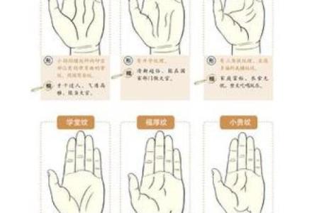 手相揭秘：梦见鸽子咬手竟暗示什么？揭秘手相中的神秘预示