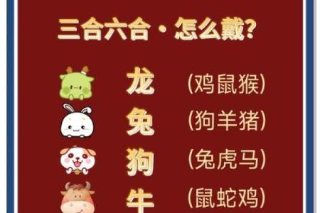 龙马配对，运势大揭秘