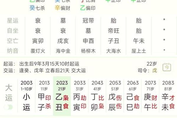 解密四柱排盘汉：从出生时刻看你的人生密码