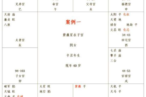 紫薇排盘解读技巧：轻松掌握命运密码