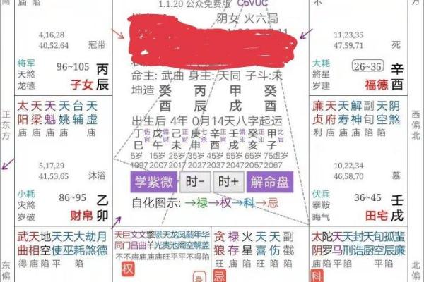 紫薇排盘解读技巧：轻松掌握命运密码