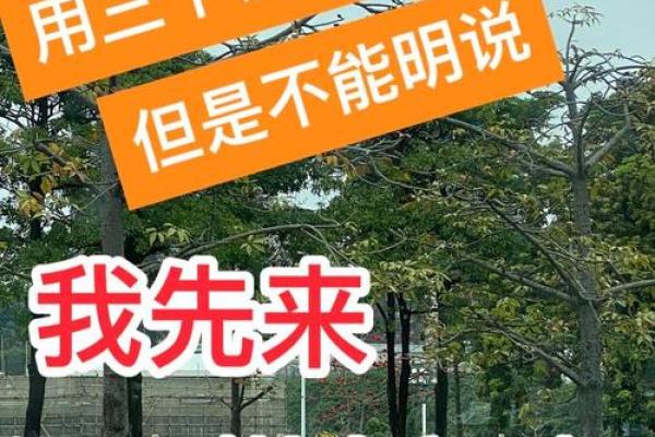 猪心不死，白食不倦：揭秘欲钱族的生肖之谜