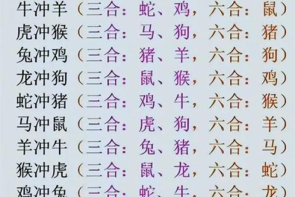寒宫生肖：揭秘十二生肖背后的神秘传说