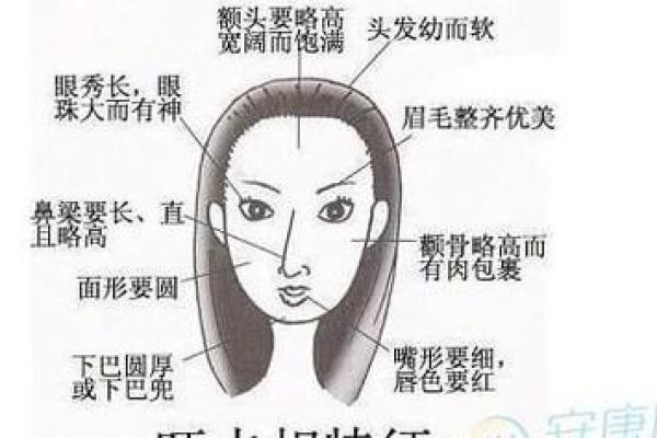 面相揭秘：贵人气质一览无遗，轻松识别你的运势风水
