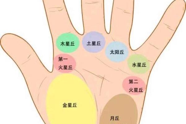 揭秘手相密码：太阳丘揭秘，揭示你的命运与性格