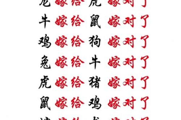 虎虎生威，兔跃龙门揭秘属相配对，职场最佳拍档