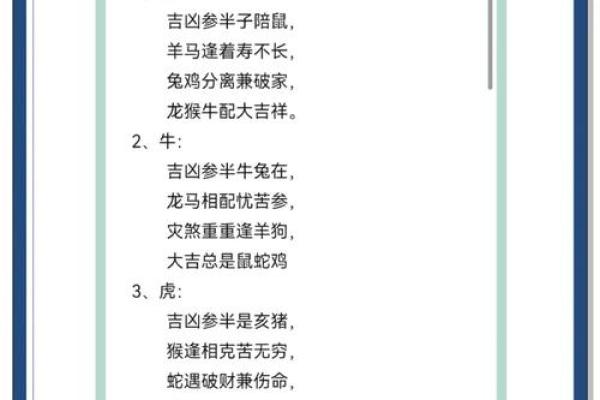 虎虎生威，兔跃龙门揭秘属相配对，职场最佳拍档
