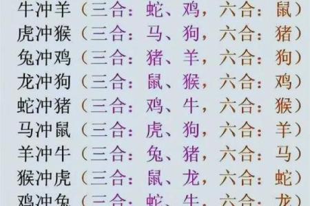 寒宫生肖：揭秘十二生肖背后的神秘传说