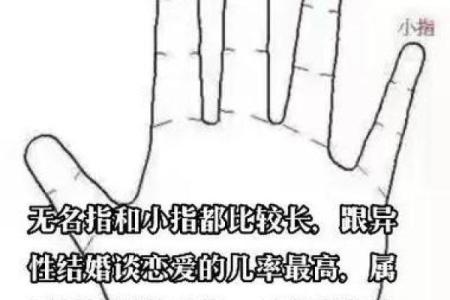 揭秘事业有成人士的手相密码，掌握成功之道
