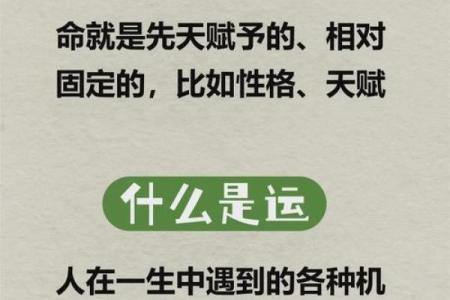 八字命运解析：你的成功与失败早已写在命运中