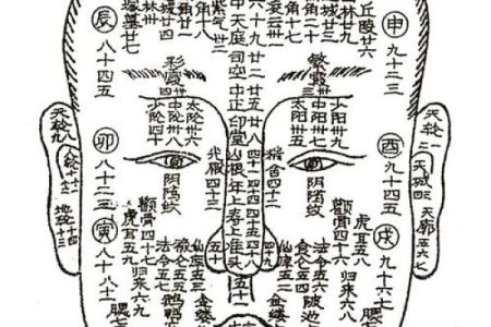 面相揭秘：贵人气质一览无遗，轻松识别你的运势风水