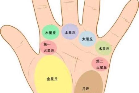 揭秘手相密码：太阳丘揭秘，揭示你的命运与性格