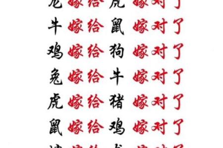 虎虎生威，兔跃龙门揭秘属相配对，职场最佳拍档