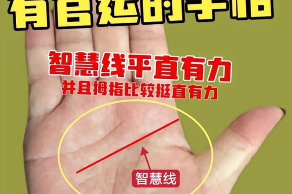 手相解码：揭秘哪些手型最适合创业经商