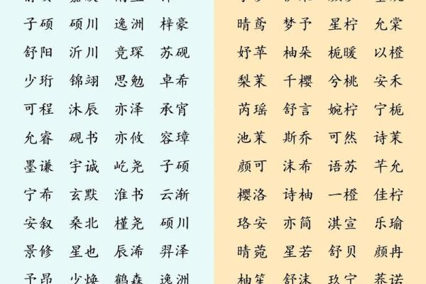 韩宝起名揭秘：如何为孩子取个与众不同的名字