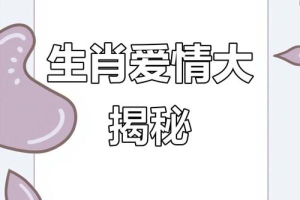 十二生肖姻缘配对，揭秘你的命中佳人