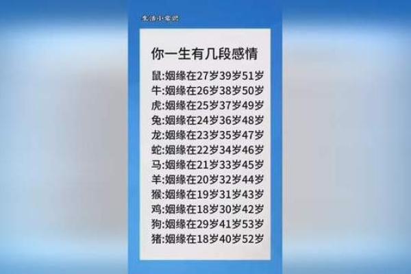 十二生肖姻缘配对，揭秘你的命中佳人