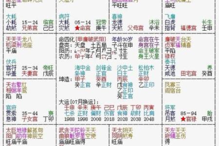 跟随陈剑掌握紫微排盘技巧，开启个人命运新篇章