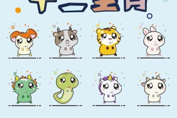 生肖运势揭秘：2024年十二生肖运势大解析