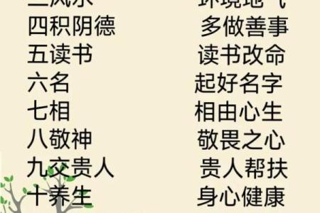 八字金水组合，财运与健康的秘诀