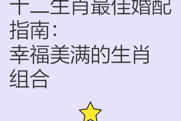 鼠年生肖最佳搭配，不容错过的配对指南