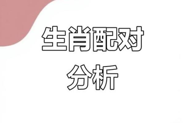 生肖配对大揭秘：揭秘十二生肖的性格特质，找到最适合你的另一半
