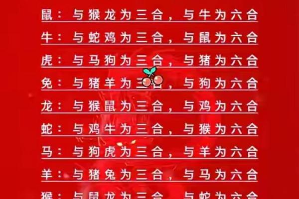 生肖配对大揭秘：揭秘十二生肖的性格特质，找到最适合你的另一半