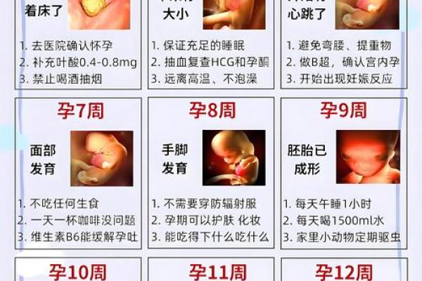 八字中揭示的怀孕时间，准不准？