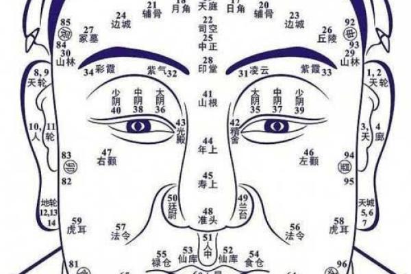揭秘太太手面相：掌握运势密码，轻松提升幸福指数