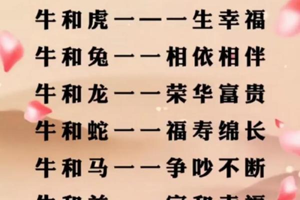 属猪属马：缘分深浅，配对揭秘