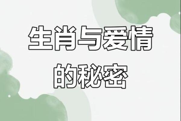 生肖奇缘：十二生肖的爱情秘籍