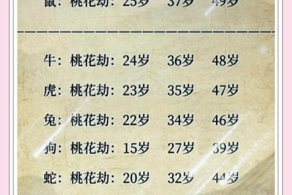 生肖奇缘：十二生肖的爱情秘籍