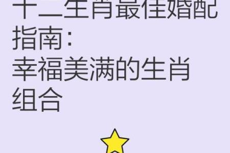 鼠年生肖最佳搭配，不容错过的配对指南