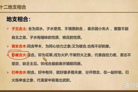 解读呈字五行属性，揭开背后的文化密码
