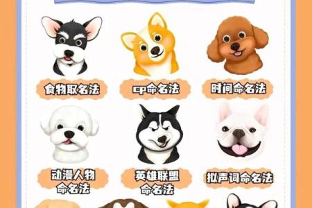公狗起名技巧：这些名字让你家的狗狗更具魅力