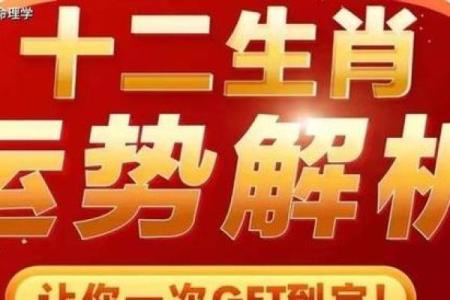 2024年运势飙升，揭秘十二生肖运势大揭秘