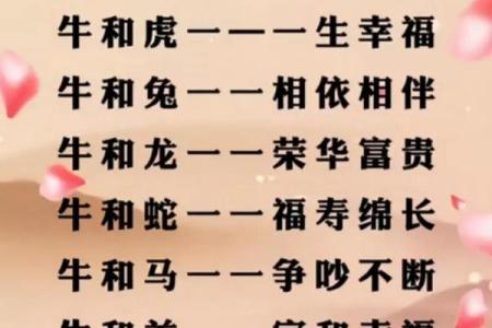 属猪属马：缘分深浅，配对揭秘