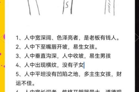 面相揭秘：一眼识人，教你轻松掌握命运密码