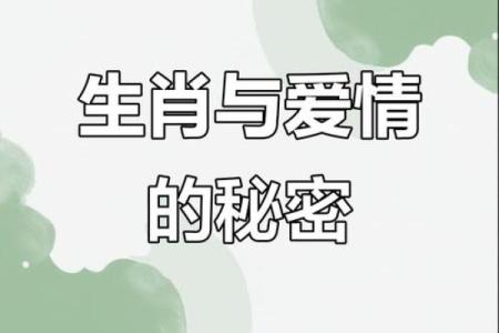 生肖奇缘：十二生肖的爱情秘籍
