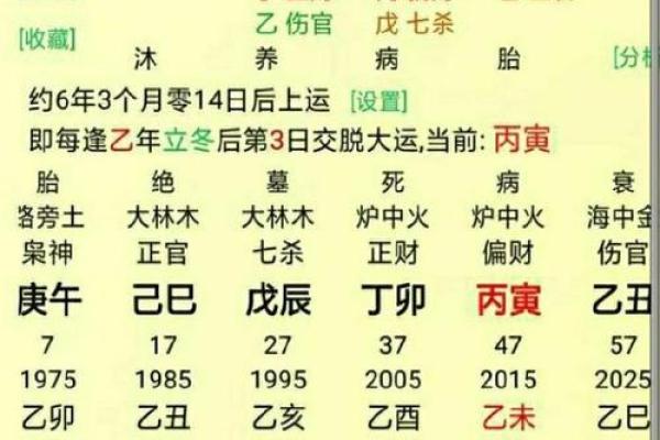 出生的八字分析，命运如何揭示