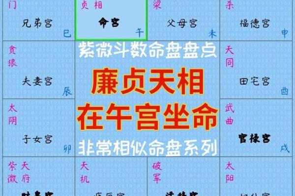 子女宫天同在紫薇排盘中的深层含义，命运如何走向