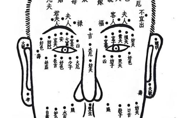 痣相与命运：周易大师教你如何解读