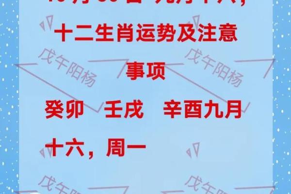 葵卯年运势揭秘：揭秘你的生肖命理，抓住运势高峰