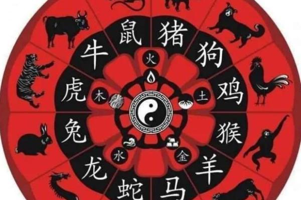 葵卯年运势揭秘：揭秘你的生肖命理，抓住运势高峰