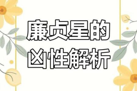 家居风水秘籍：揭秘廉贞星的力量，助你运势亨通