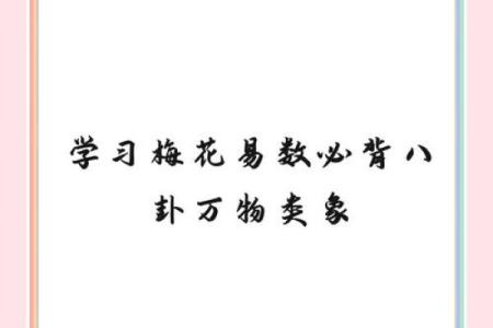 梅花艺术在线排盘：揭秘如何用梅花易数预测未来运势