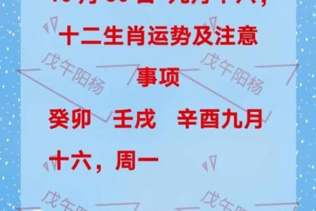 葵卯年运势揭秘：揭秘你的生肖命理，抓住运势高峰