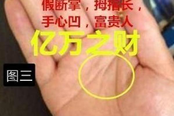 晚年大富大贵手相揭秘：揭秘财富密码，一招看穿人生巅峰