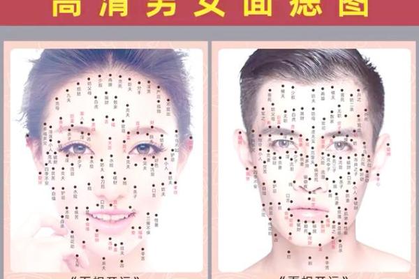 神秘面相学：揭秘骨相、面相、痣相背后的秘密