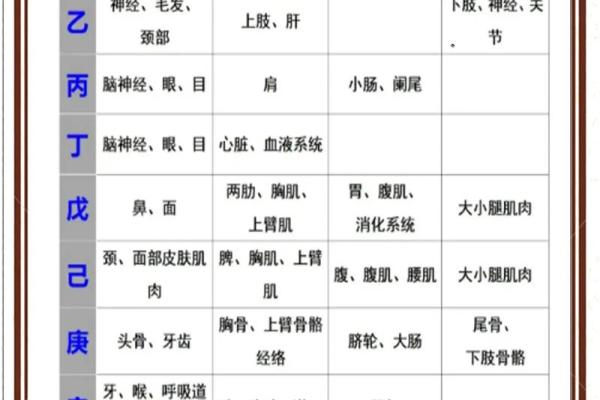 今天的天干地支是怎样的？解密日常运势